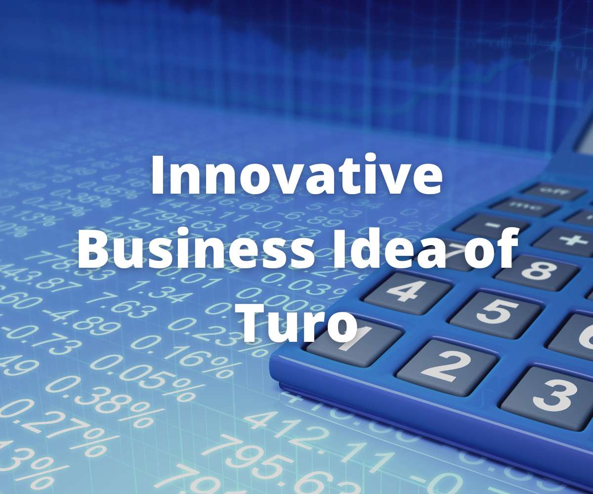 best-innovative-business-idea-of-turo